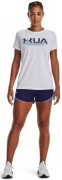 under_armour_damskie_spodenki_treningowe_under_armour_ua_play_up_cb_short_-_fioletowe_84472.jpg