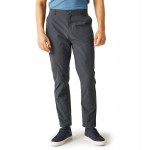 Męskie spodnie Regatta DALRY MULTI POCKET RMJ306R 038 szary 