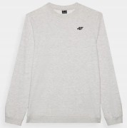 Męska bluza z kapturem 4F SWSM1767 27M XXL