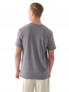 Męska koszulka 4F T-shirt TSHM2256 25S L