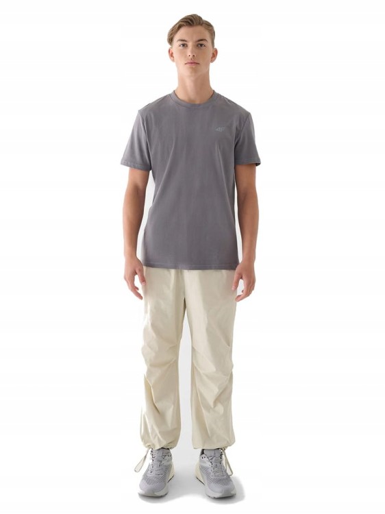 Męska koszulka 4F T-shirt TSHM2256 25S L