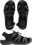 Męskie sandały trekkingowe 4F SANM058 23S szary 44