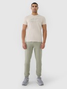 Męska koszulka 4F T-shirt TSHM2004 12S M