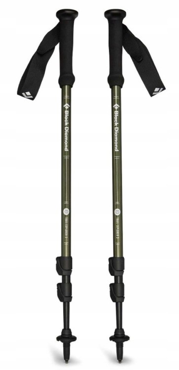 Kije trekkingowe Black Diamond EXPLORER 3 BD112551 3010