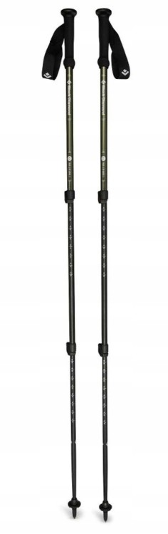 Kije trekkingowe Black Diamond EXPLORER 3 BD112551 3010