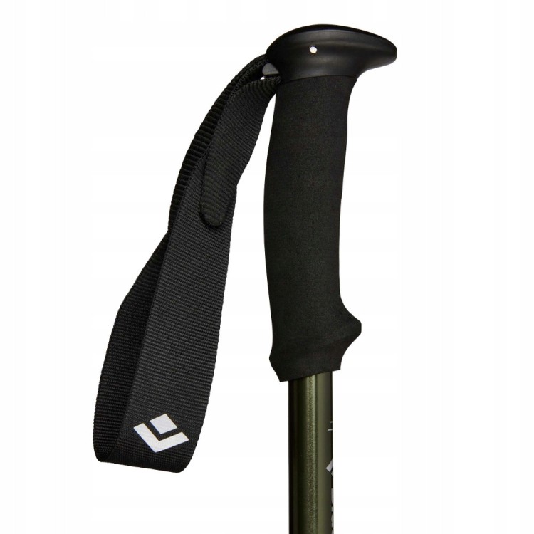Kije trekkingowe Black Diamond EXPLORER 3 BD112551 3010