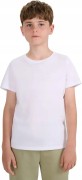 Chłopięcy T-shirt 4F bawełniana koszulka na WF TSHM2330 10S biały