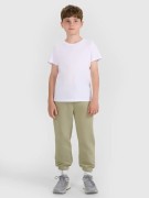 Chłopięcy T-shirt 4F bawełniana koszulka na WF TSHM2330 10S biały