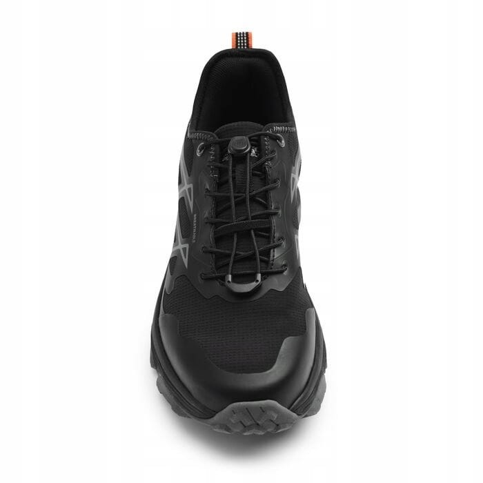 Męskie buty trekkingowe Regatta RMF867 800 43