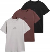 Koszulka męska 4F T-shirt sportowy 3-pak TSHM2961 20S+80S+25S czarny/brązowy/szary