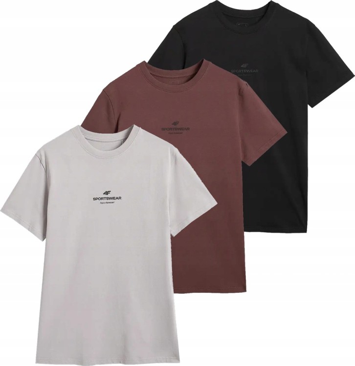 Koszulka męska 4F T-shirt sportowy 3-pak TSHM2961 20S+80S+25S czarny/brązowy/szary