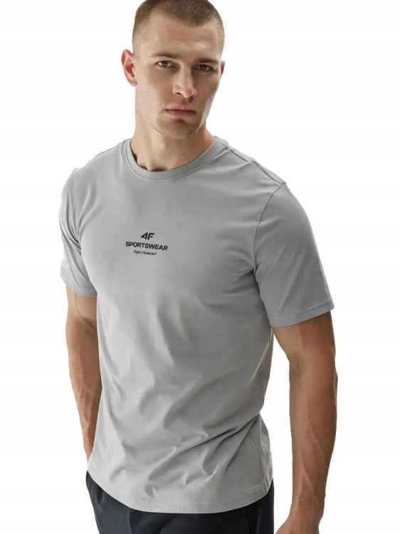 Męska koszulka 4F T-shirt TSHM2961 25S szary
