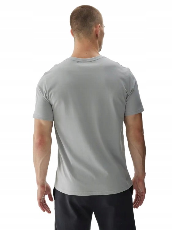 Męska koszulka 4F T-shirt TSHM2961 25S szary