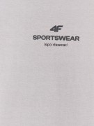 Męska koszulka 4F T-shirt TSHM2961 25S szary