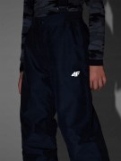 Dziecięce spodnie narciarskie 4F FTRM0949 20S czarny