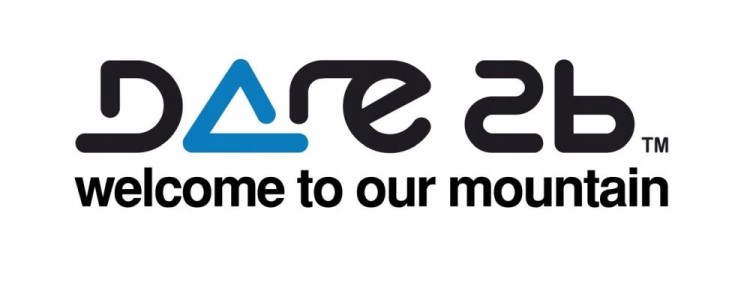 Męska kurtka narciarska Dare2B DMP612 800 czarny