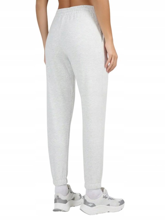 Damskie spodnie dresowe 4F TROF1658 27S jasny szary