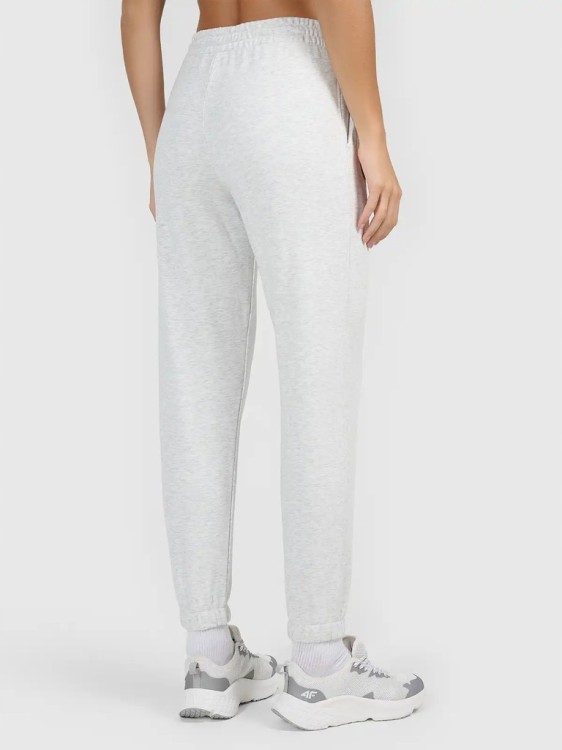 Damskie spodnie dresowe 4F TROF1658 27S jasny szary