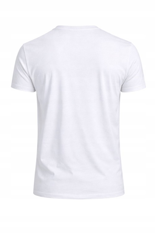 Męska koszulka 4F T-shirt TSHM3987 10S  biały