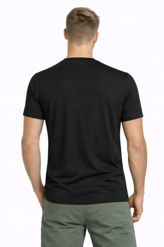 Męska koszulka 4F T-shirt TSHM3987 20S  czarny