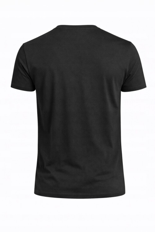 Męska koszulka 4F T-shirt TSHM3987 20S  czarny
