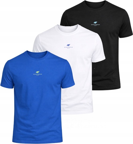 Męska koszulka zestaw 3 sztuk 4F T-shirt 3-pak TSHM3987  biały/czarny/niebieski