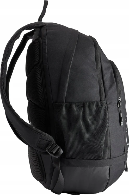 Plecak miejski sportowy 22L 4F BACU613 20S