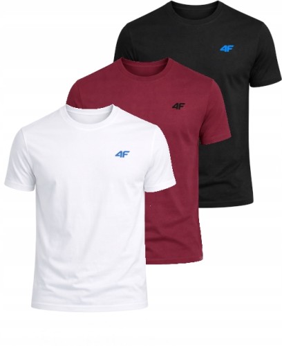 Męska koszulka zestaw 3 sztuk 4F T-shirt 3-pak TSHM3986 20S+10S+60S czarny/biały/bordowy