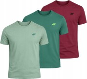 Męska koszulka zestaw 3 sztuk 4F T-shirt 3-pak TSHM3986 41S+43S+60S j.zielony/c.zielony/bordowy