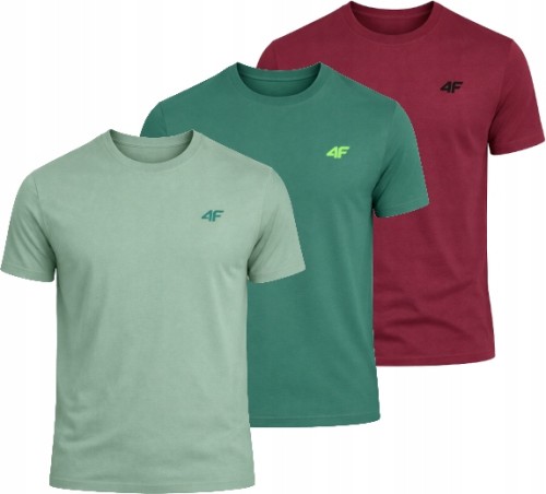 Męska koszulka zestaw 3 sztuk 4F T-shirt 3-pak TSHM3986 41S+43S+60S j.zielony/c.zielony/bordowy