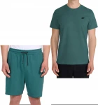 Męski komplet na lato t-shirt + spodenki 4F TSHM2669+SHOM690 46S zielony