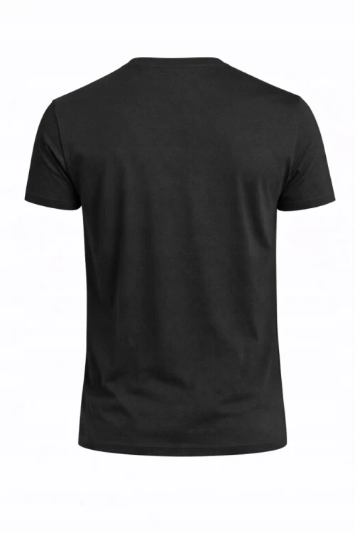 Męska koszulka zestaw 3 sztuk 4F T-shirt 3-pak TSHM3986 20S+43S+41S czarny/j.zielony/c.zielony