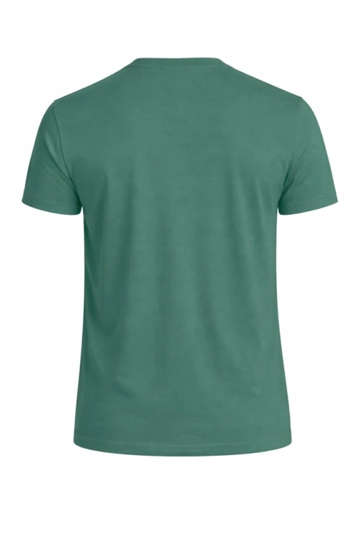 Męska koszulka zestaw 3 sztuk 4F T-shirt 3-pak TSHM3986 20S+43S+41S czarny/j.zielony/c.zielony