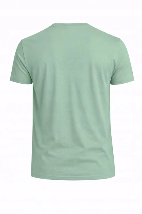 Męska koszulka zestaw 3 sztuk 4F T-shirt 3-pak TSHM3986 20S+43S+41S czarny/j.zielony/c.zielony
