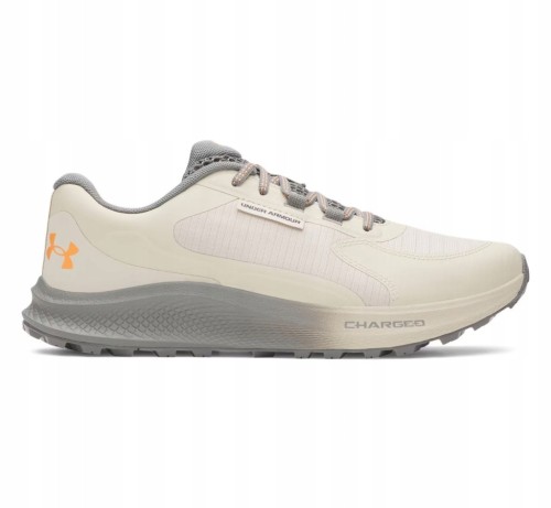 Męskie buty sportowe Under Armour CHARGED BRANDIT TR3 3028371-289