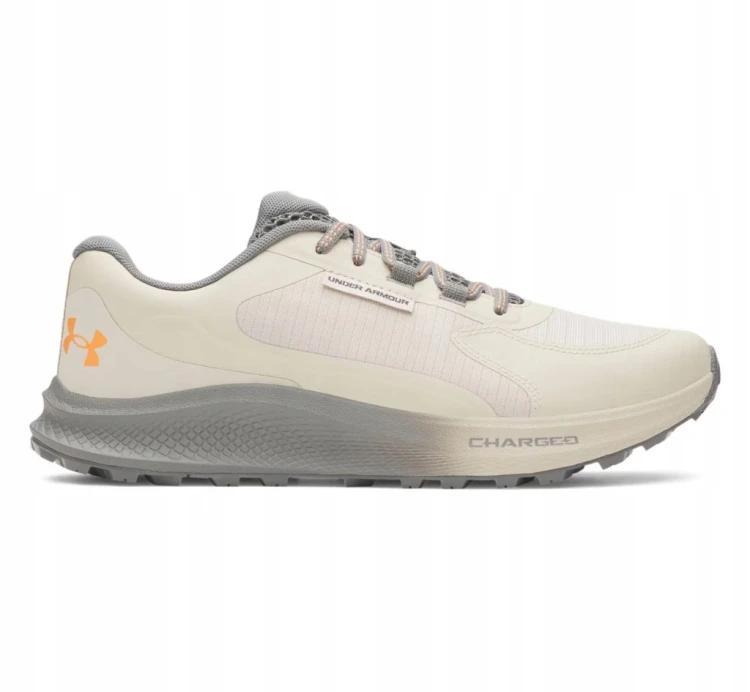 Męskie buty sportowe Under Armour CHARGED BRANDIT TR3 3028371-289