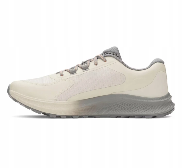 Męskie buty sportowe Under Armour CHARGED BRANDIT TR3 3028371-289