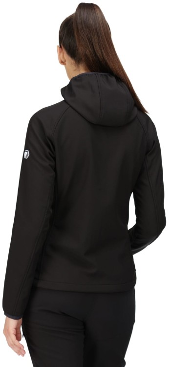 Web version-RWL217_800_M_2.jpg